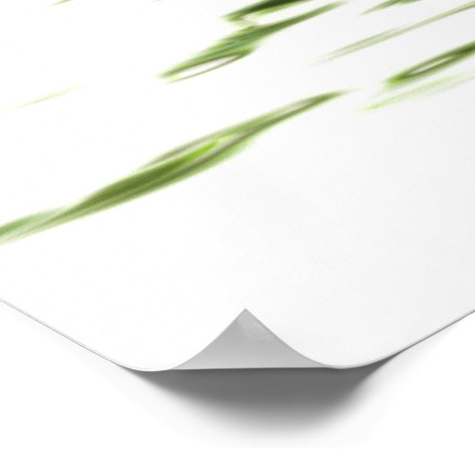 Poster Ficus bonsai (Coin)