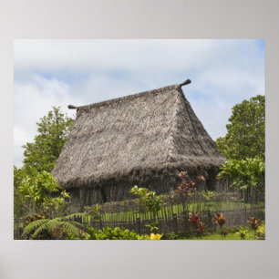 Poster Fidji, île de Viti Levu. Culture polynésienne