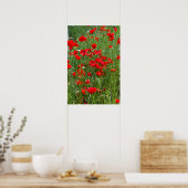 Poster Field of red poppies (Cuisine)