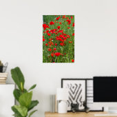 Poster Field of red poppies (Bureau à domicile)
