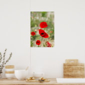 Poster Field of red poppies (Cuisine)