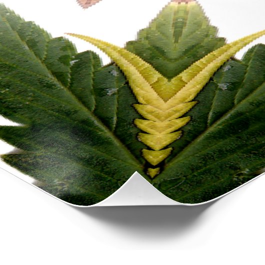 Poster Fier... (Coin)