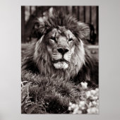 Poster Fier (Devant)