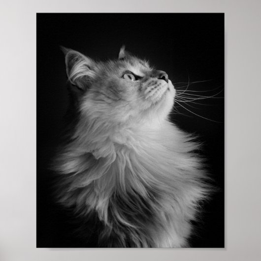 Poster Fier (Devant)