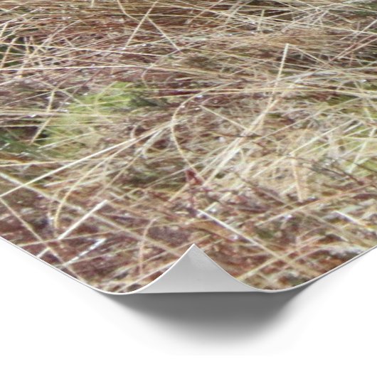 Poster Fier D'Être Écossais ! (Coin)