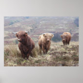 Poster Fier D'Être Écossais ! (Devant)