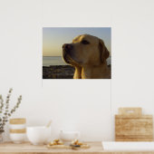 Poster Fier garçon (Cuisine)