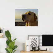 Poster Fier garçon (Bureau à domicile)