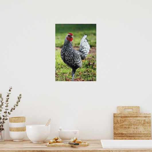 Poster "Fier Petit Coq" (Cuisine)