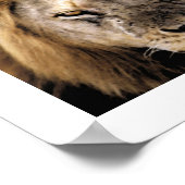 Poster Fier Simba - Serengeti (Coin)