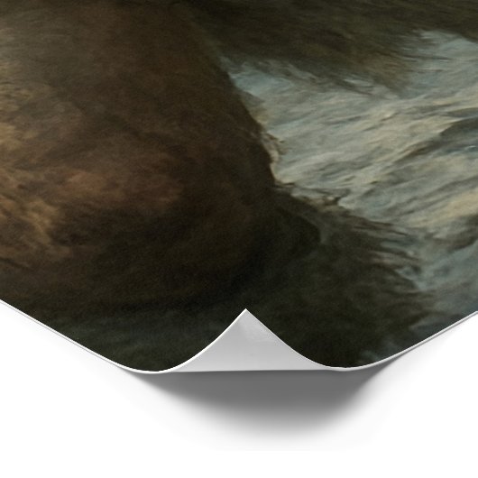 Poster Fierce Encounter in the Arctic (Coin)