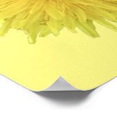 Poster Fière Dandelion Flower - transparent. (Coin)
