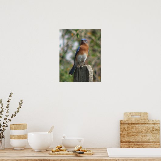 Poster fière de Bluebird (Cuisine)