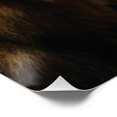 Poster Fière Ours (Coin)