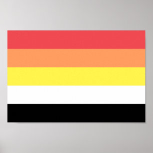 Poster Fierté Akoisexuelle Akoiromantique