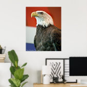 Poster Fierté d'aigle chauve (Bureau à domicile)