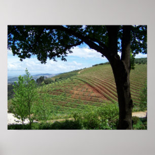 Poster Fierté de vignoble