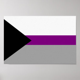 Poster Fierté demisexuelle