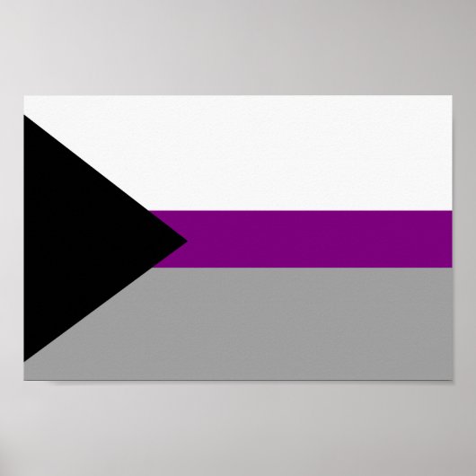 Poster Fierté demisexuelle (Devant)