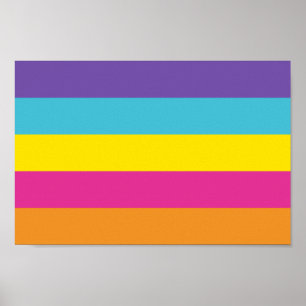 Poster Fierté non binaire de genre