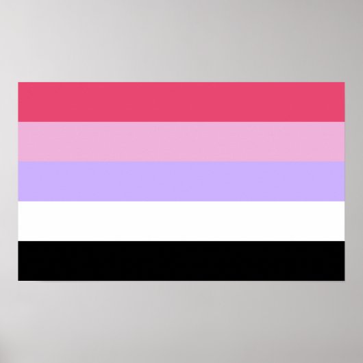 Poster Fierté réciprosexuelle (Devant)