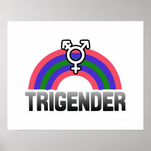 Poster Fierté trigender
