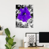 Poster Fièvre pourpre (Bureau à domicile)