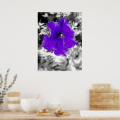 Poster Fièvre pourpre (Cuisine)