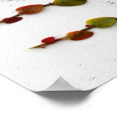 Poster Fig Escalade (Coin)