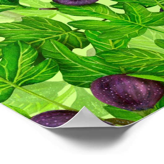 Poster Figes 2 (Coin)