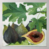 Poster Figes 2013 (Devant)