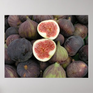 Poster Figs