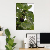 Poster Figuier (Bureau à domicile)