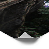 Poster Figuier dans la forêt tropicale de Tangkoko à Sula (Coin)