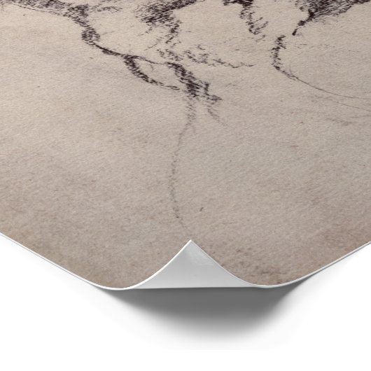 Poster Figure 2 (Coin)