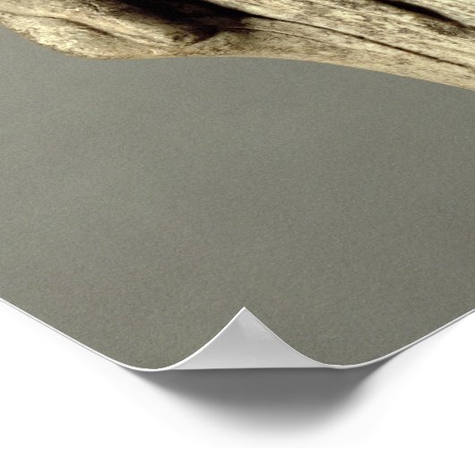 Poster Figure de Kore par Cheramyes, from the Sanct (Coin)