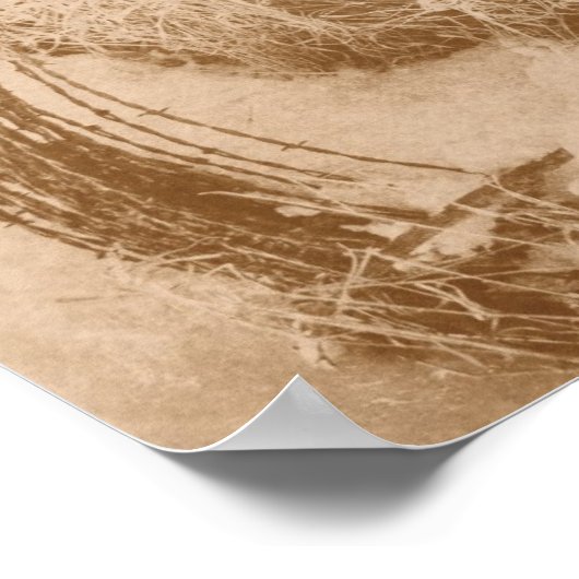 Poster Fil à barbe en hiver (Coin)