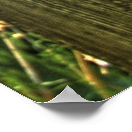 Poster Fil Barbe (Coin)