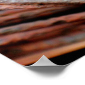 Poster Fil Barbe (Coin)