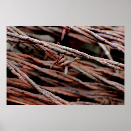 Poster Fil Barbe (Devant)