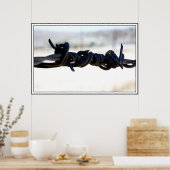 Poster Fil Barbed du désert (Cuisine)