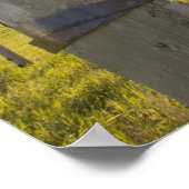 Poster Fil de fer barbelé enroulé sur une rangée de clôtu (Coin)