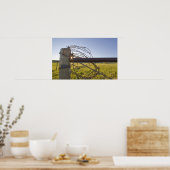 Poster Fil de fer barbelé enroulé sur une rangée de clôtu (Cuisine)