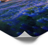 Poster Filet de Bluebonnets au coucher du soleil avec gra (Coin)