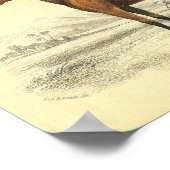 Poster Filet d'impression de cheval vintage (Coin)