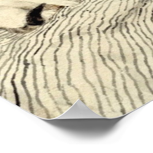 Poster Fille avec chat, Albert Anker (Coin)