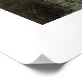 Poster Fille avec chien blanc (Coin)