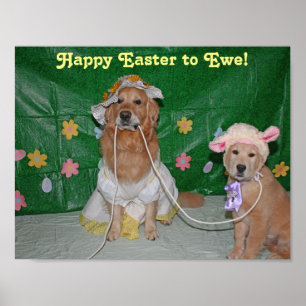 Poster Fille de golden retriever et agneau Joyeuses
