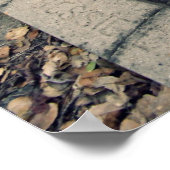 Poster Fille du cimetière (Coin)