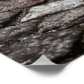 Poster Fille sans peur face à la rampaging Bull (Coin)